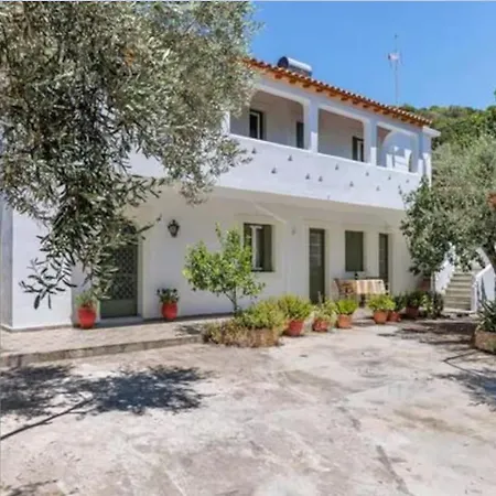 Wood In White Appartement